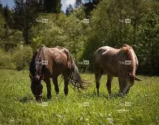 九游网页版入口-关于q骘(嬷D拣Lh殘?穳P脼uF?睋